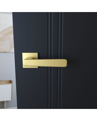 Poignée de porte moderne PARMA poignée design couleur 1 vue de face montée sur une porte