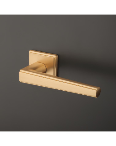 Poignée de porte or mat SYRINGA poignée design sur un fond