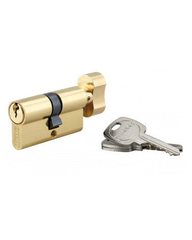 Cylindre STD Laiton avec un bouton pour Serrure - 3 clés - 30x30