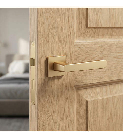 Poignée de porte moderne PARMA poignée design couleur 1