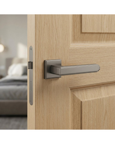 Poignée de porte couleur graphite MIMOSA