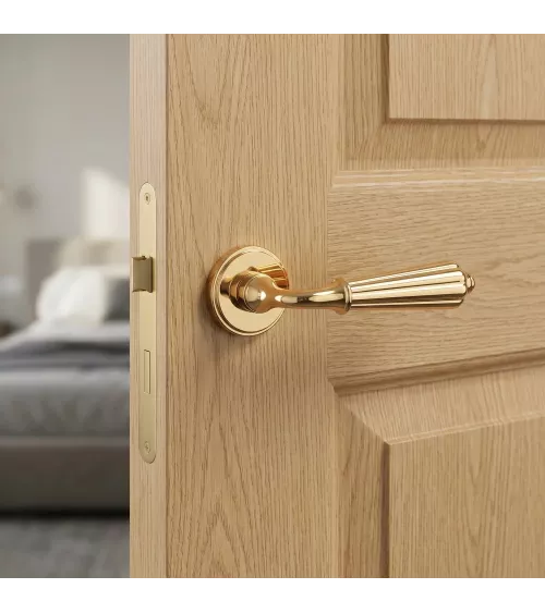 Poignée de porte classique LIMONA poignée design