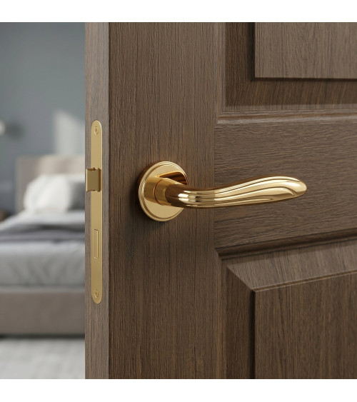 Poignée de porte or poli CATALPA poignée design