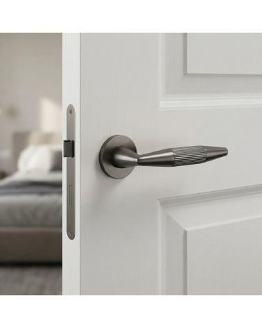 Poignée de porte graphite IDESA