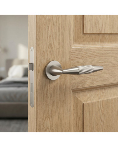 Poignée de porte nickel satiné IDESA
