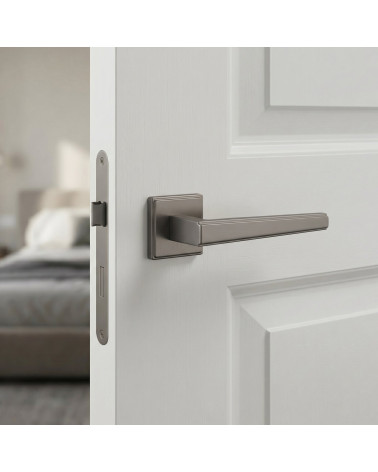 Poignée de porte graphite SYRINGA