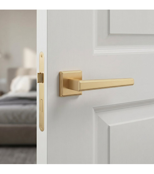 Poignée de porte contemporaine SYRINGA poignée design