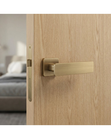 Poignée de porte en laiton NOEMIA