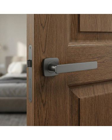 Poignée de porte anthracite NOEMIA
