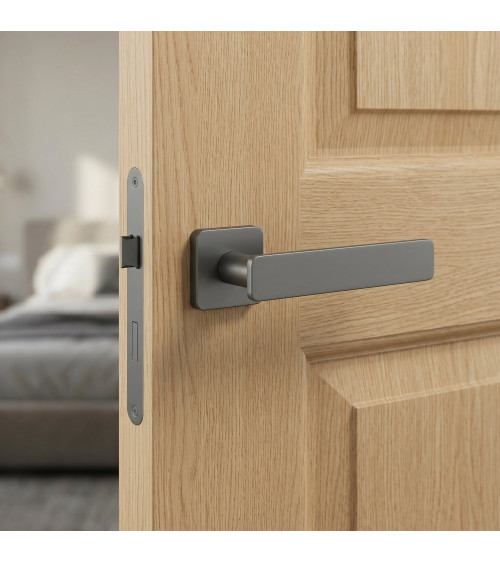 Poignée de porte anthracite NOEMIA poignée design