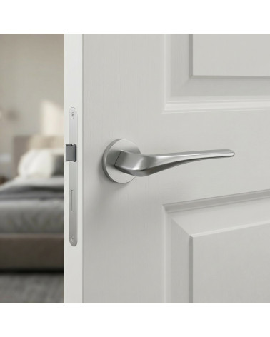 Poignée de porte chrome satiné DALIA