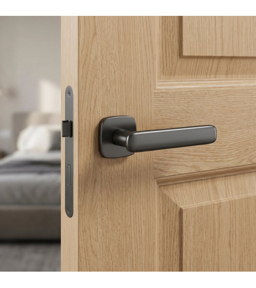 Poignée de porte anthracite FLOW poignée design