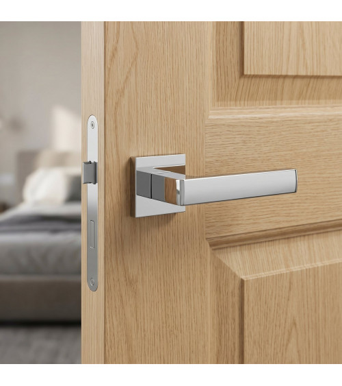 Poignée de porte classique Apollo poignée design