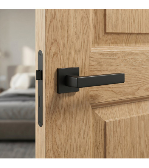 Poignée de porte au style classique MIIA poignée design
