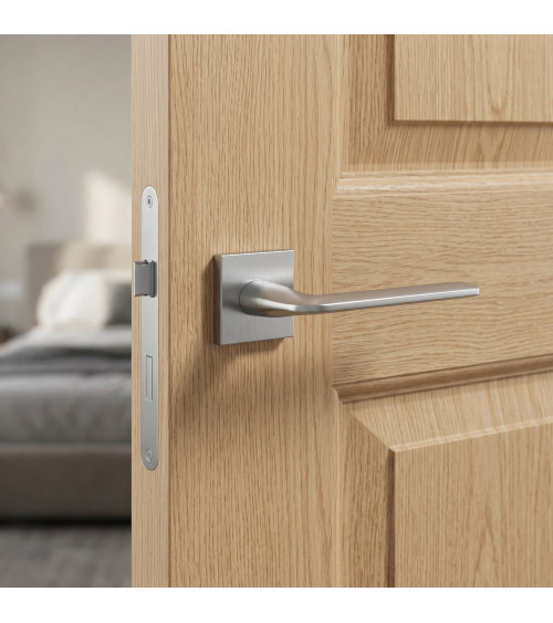 Poignée de porte style classique STINGER poignée design