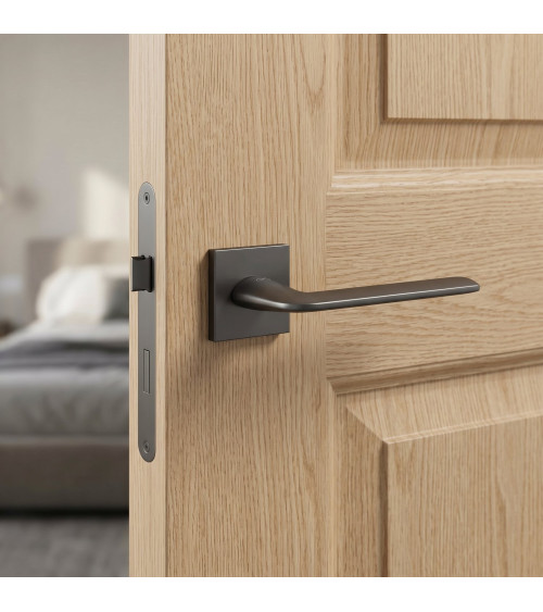 Poignée de porte titane STINGER poignée design