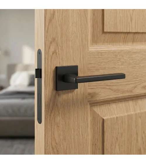 Poignée de porte PYROLA quincaillerie design couleur 2