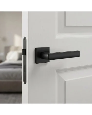 Poignées de porte noire HOSTA carré