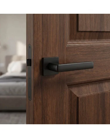 Poignées de porte noire HOSTA carré