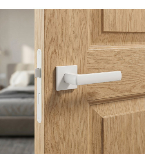 Poignée de porte en zamak HOSTA poignée design