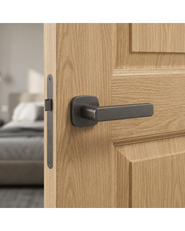 Poignée de Porte Graphite - Modèle IXIA