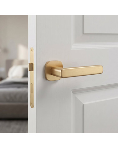 Poignée de Porte Or Mat - Modèle IXIA