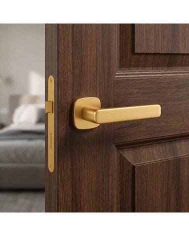 Poignée de Porte Or Mat - Modèle IXIA
