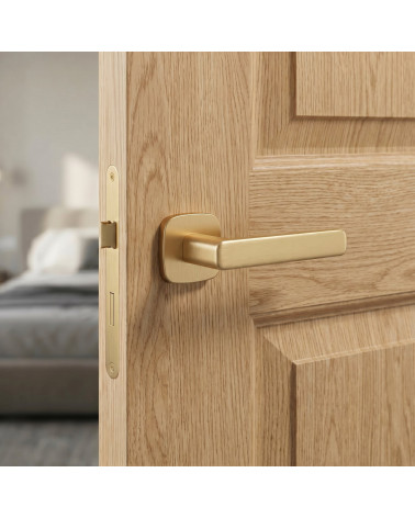 Poignée de Porte Or Mat - Modèle IXIA