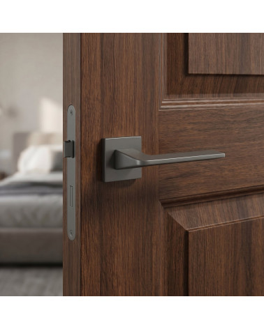Poignée de Porte Anthracite sur rosace Carrée - Modèle VAVA
