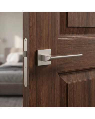 Poignée de porte nickel satiné - Modèle BIRA