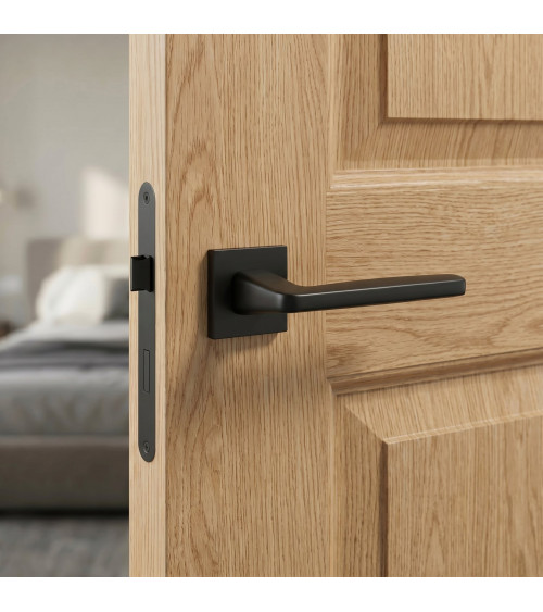 Poignée de porte classique ERBA poignée design