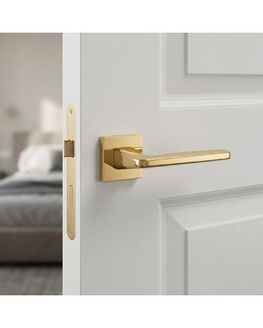 Poignée de Porte Or Poli Éblouissante et Luxueuse - Modèle ERBA