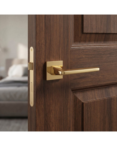 Poignée de Porte Or Poli Éblouissante et Luxueuse - Modèle ERBA