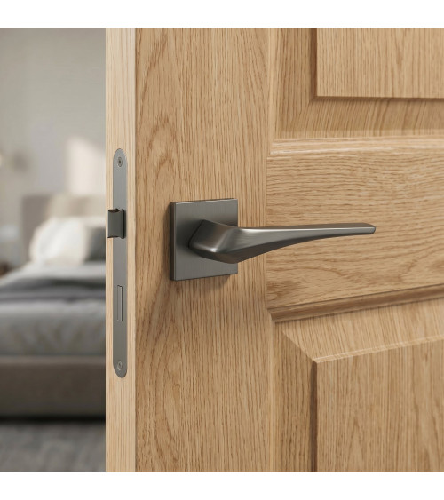 Poignée de porte moderne Heavy poignée design