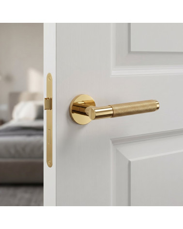 Poignée de Porte en Or Poli à la beauté luxueuse - Modèle MOLINIA