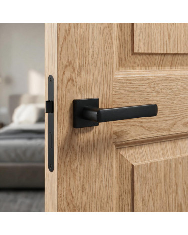 Poignée de Porte Classique sobre et polyvalente - Modèle STELLA