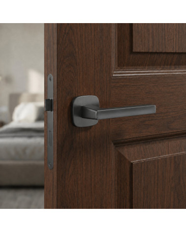 Poignées de porte graphite PEA