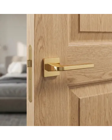 Poignée de Porte en Or Poli Sophistiqué et Raffiné - Modèle ISMENA