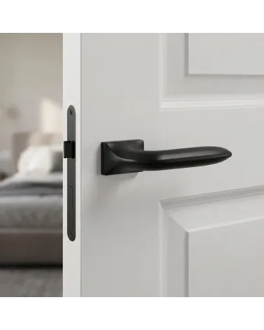 Poignée de Porte Noire Sobre et Raffinée - Modèle GLADIOLA