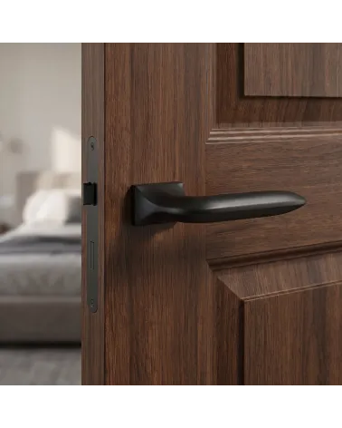 Poignée de Porte Noire Sobre et Raffinée - Modèle GLADIOLA