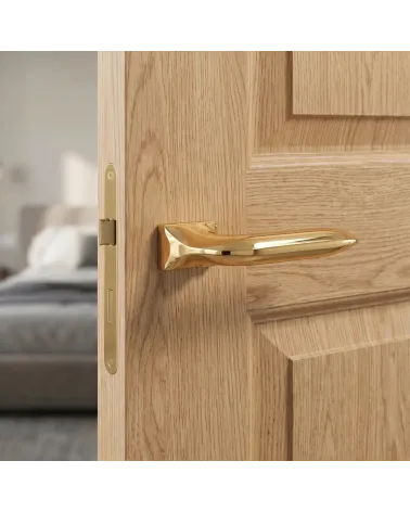 Poignée de Porte Or Poli Chic et Brillante - Modèle GLADIOLA