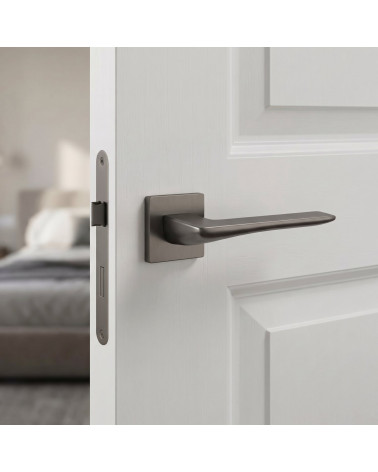 Poignée de Porte Graphite au charme sombre et raffiné - Modèle IRIS