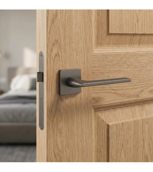 Poignée de porte anthracite SALVIA poignée design