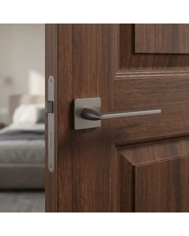 Poignée de Porte Moderne pour une déco épurée - Modèle SALVIA