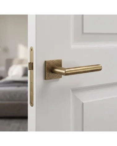 Poignée de Porte Patine Antique Mat Accueillante et Raffinée - 4002-T1