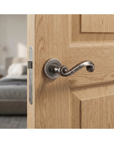 Poignée de Porte Argent Antique pour une déco épurée - Modèle TUPAI 738