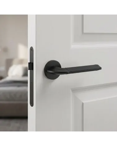 Poignées de porte couleur noire DETAZIA