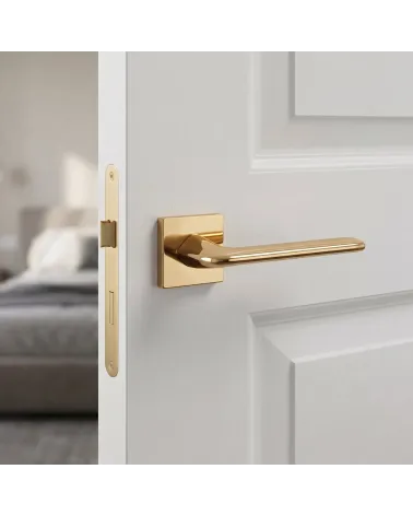 Poignée de Porte Or Poli Prestigieux et Lumineux - Modèle LILA