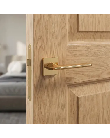 Poignée de Porte Or Poli Prestigieux et Lumineux - Modèle LILA