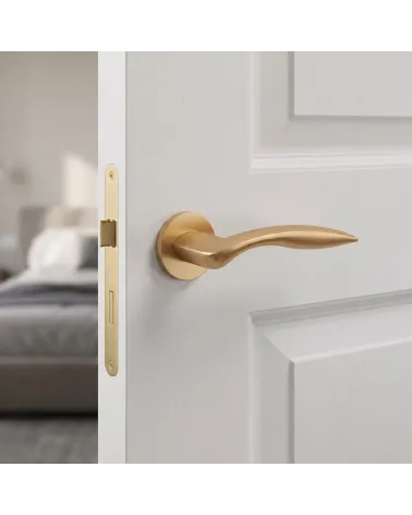 Poignée de Porte Or Mat Subtil et Raffiné - Modèle ROBINE
